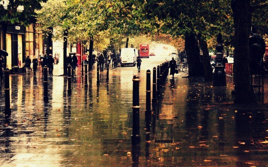 Nature___Seasons___Autumn_Wet_city_street_043744_