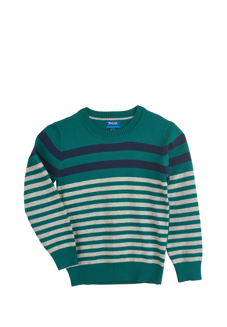 Пуловер детский для мальчиков 18905030