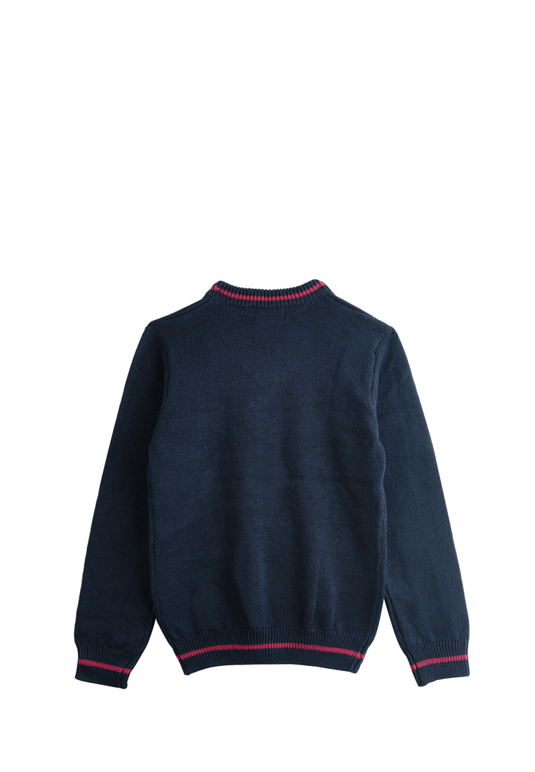Пуловер детский для мальчиков 18905140 вид 2