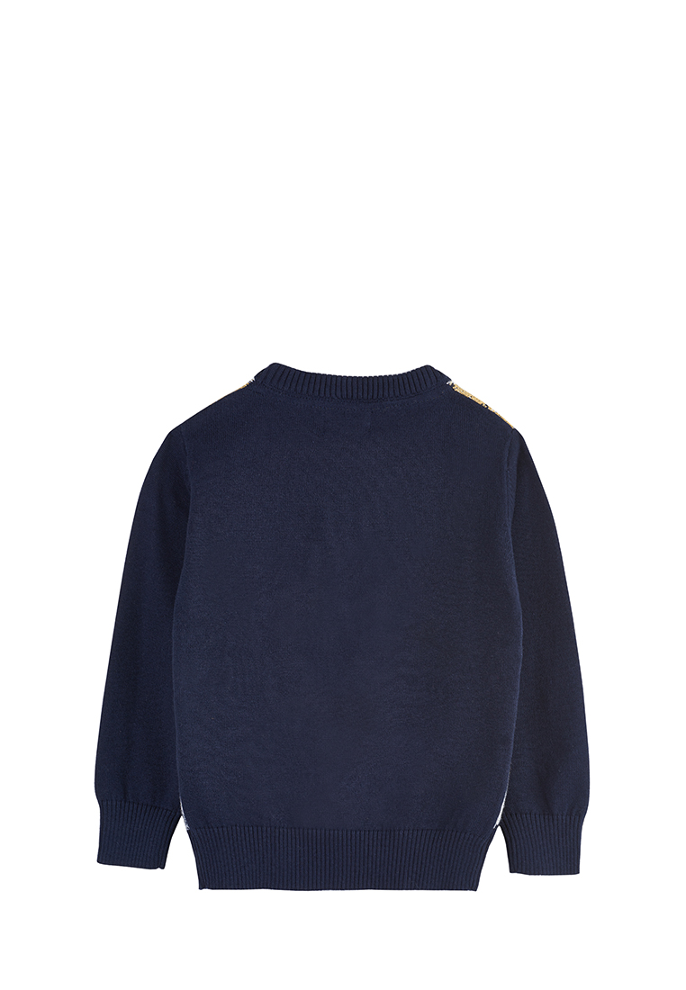 Пуловер детский для мальчиков 18907120 вид 5