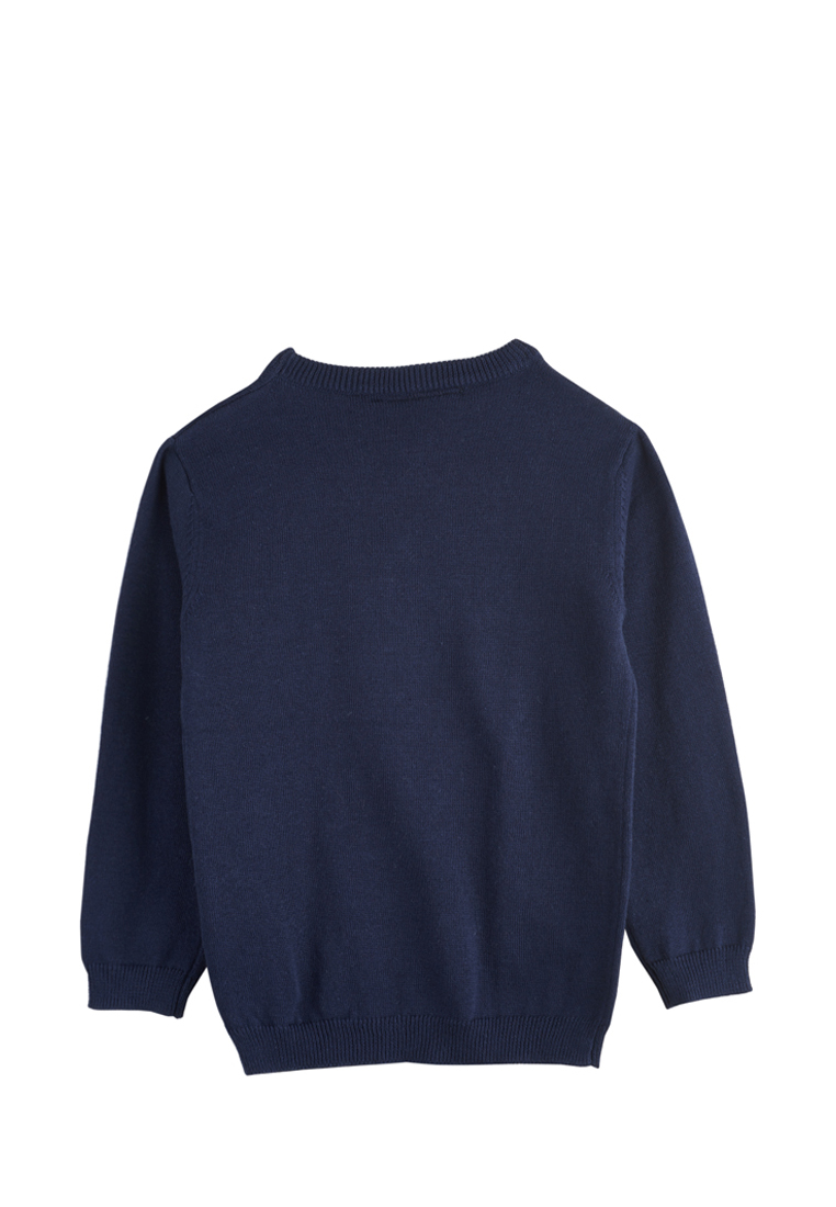 Пуловер детский для мальчиков 18907140 вид 5