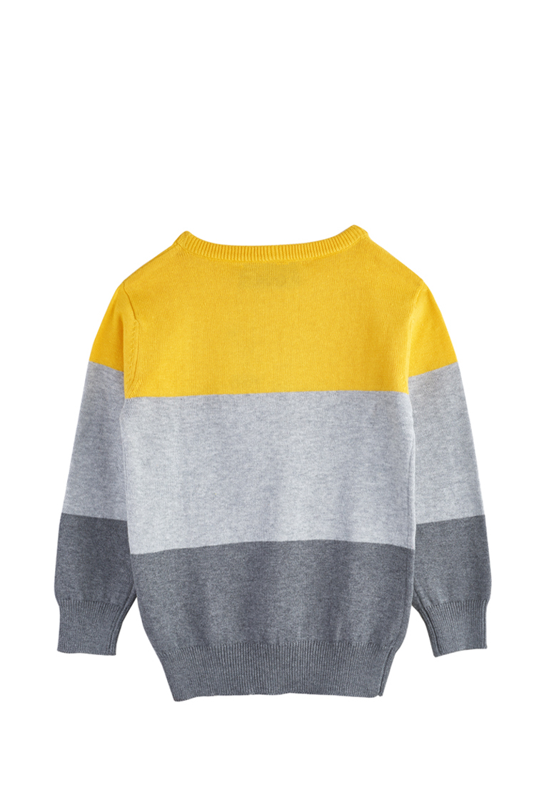 Пуловер детский для мальчиков 18907160 вид 2