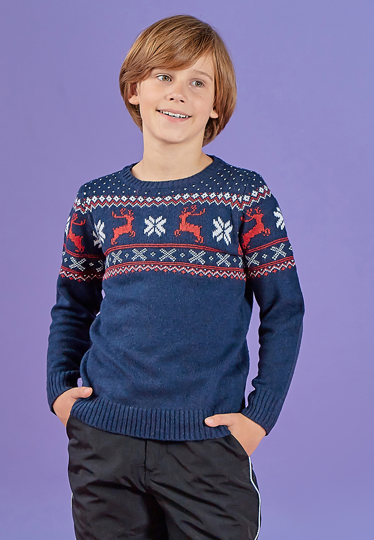 Пуловер детский для мальчиков 18909020