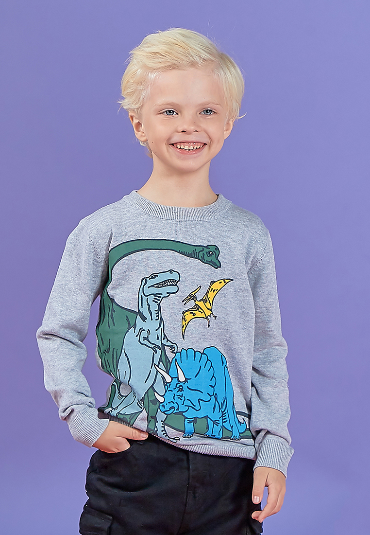 Пуловер детский для мальчиков 18909030