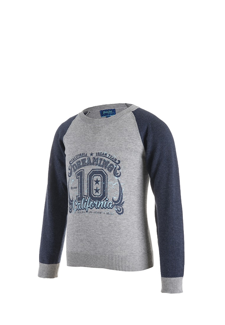 Пуловер детский для мальчиков 18970392