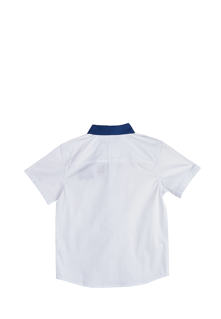Рубашка с коротким рукавом школьная для мальчиков 39907000 вид 6