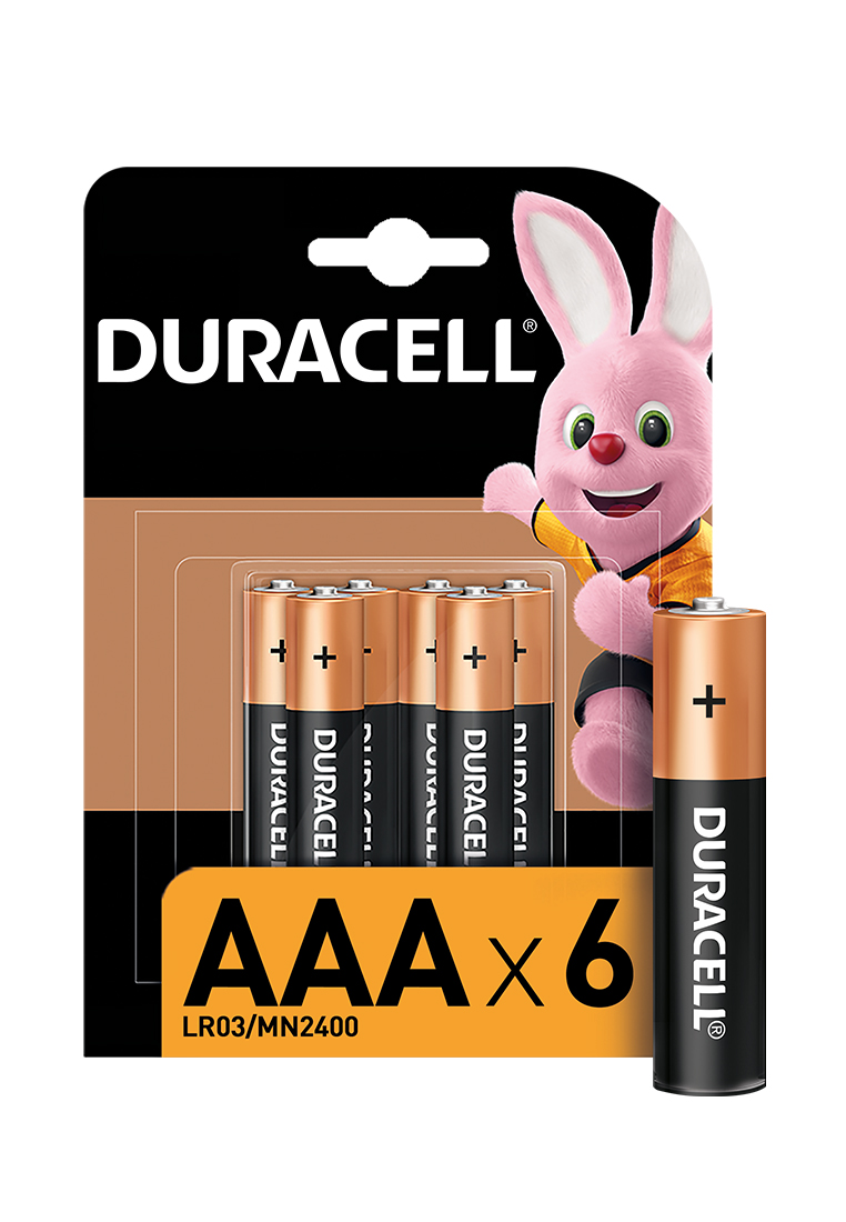 Батарейки Duracell BASIC ААА 6шт. в блист. 43700046