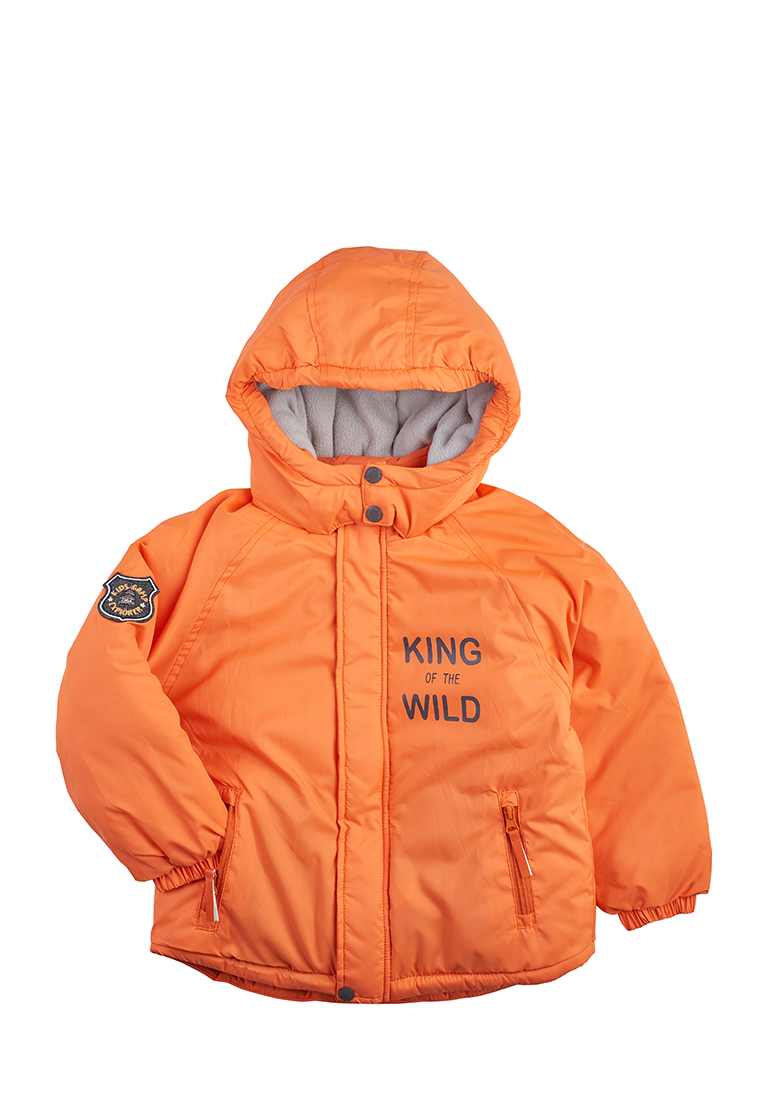 Комплект для мальчиков: куртка зимняя и полукомбинезон 45907000 вид 2