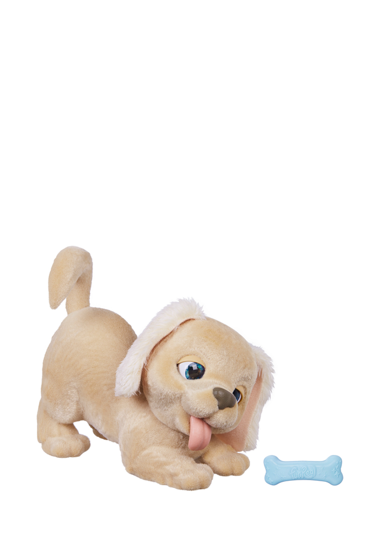 Playful goldie. Щенок Голди интерактивная игрушка. Щенок Чарли FURREAL friends. Интерактивная игрушка Hasbro пушистый друг FURREAL friends. Интерактивная мягкая игрушка FURREAL friends Поющие зверята Совенок c2289.