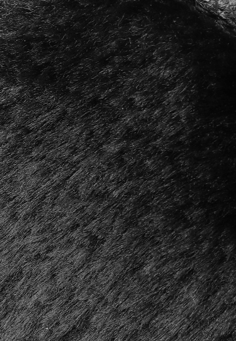 Полусапоги женские зимние W8459009 вид 10