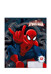 Тетрадь Spider-man 12л КЛЕТКА, скоба, карт SM211/5-EAC 48904070