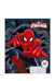 Тетрадь Spider-man 12л КЛЕТКА, скоба, карт SM211/5-EAC 48904070 фото 3