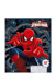 Тетрадь Spider-man 12л ЛИНИЯ, скоба, карт SM213/5-EAC 48904080 фото 3