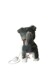 Интерактивная собака "Рекс" на ПДУ JX-1422 99630000 фото 3