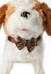 Интерактивная собака "Озорной Щенок" с аксесс. JX-2409 99630010 фото 8