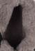 Полусапоги женские зимние W8429002 фото 9