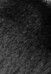 Полусапоги женские зимние W8459009 фото 10